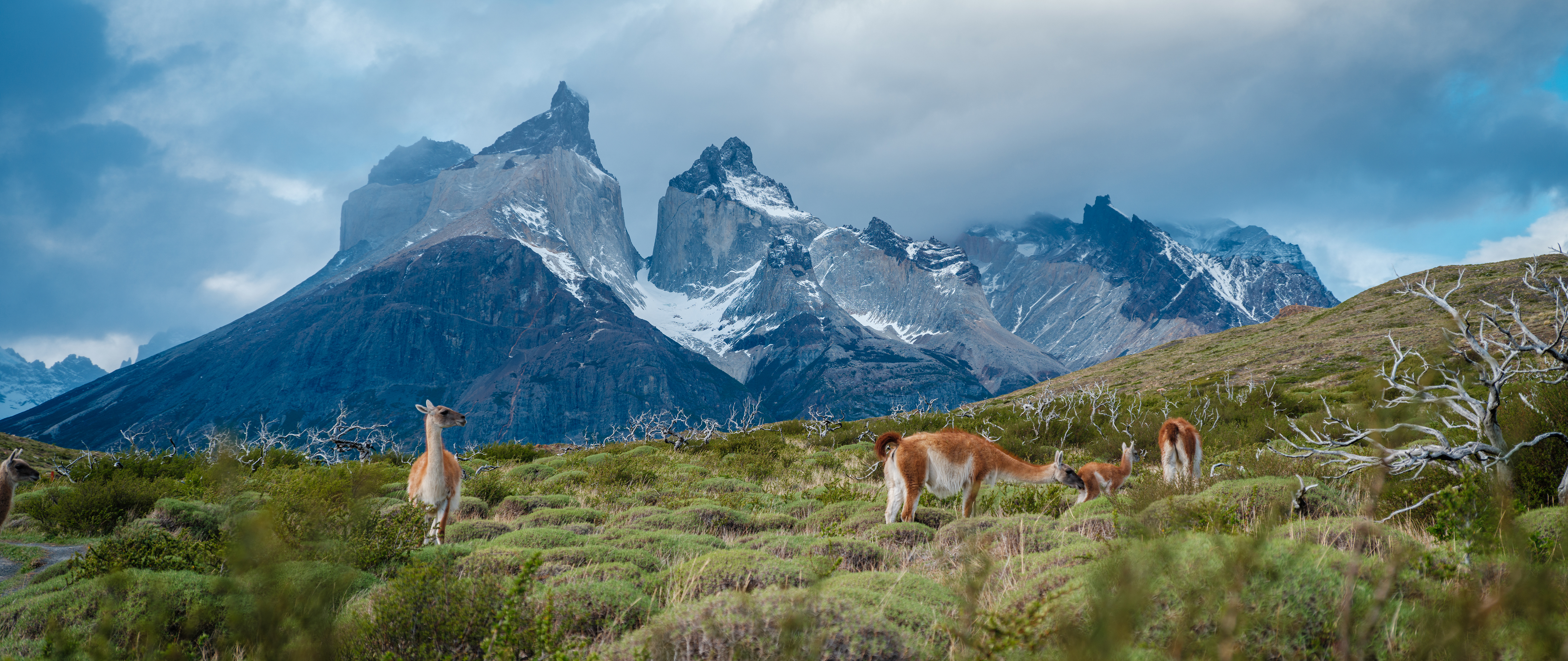 Chilean Fjords Yachting Expedition Navigating Patagonias Wild And Remote Beauty.